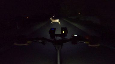 I Almost Hit a Deer! Kaabo Mantis Midnight Ride