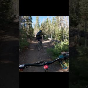 Electric Scooter Takes on a Mountain Biking Trail #Shorts